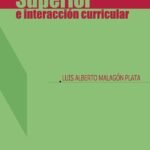 Educación superior e interacción curricular