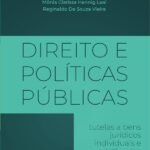 Direito e Políticas Públicas E-BOOK: tutelas a bens jurídicos individuais e coletivos na sociedade contemporânea