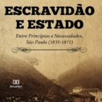 Escravidão e estado: entre princípios e necessidades, São Paulo (1835-1871)