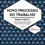 Novo Processo do Trabalho: teoria e prática