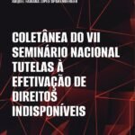 Coletânea do VII Seminário Nacional Tutelas à Efetivação de Direitos Indisponíveis E-BOOK
