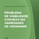 Problema de Viabilidade Convexa em Variedades de Hadamard