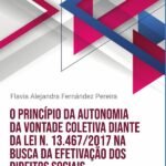 O princípio da autonomia da vontade coletiva diante da Lei n. 13.467/2017 na busca da efetivação dos direitos sociais