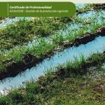 Factores en la implantación de cultivos. AGAU0208 - Gestión de la producción agrícola
