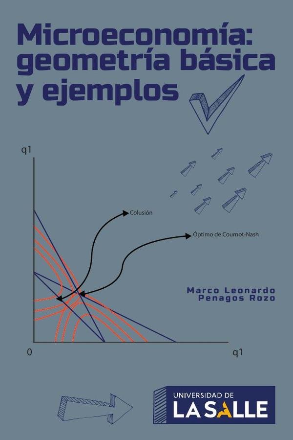 783690_IMAGEN_TAPA_G_003 Microeconomía: Geometría básica y ejemplos - Imagen 1