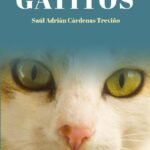 Gatitos