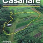 Casanare: Estructura socioeconómica y lecturas territoriales