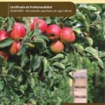 Operaciones culturales, recolección, almacenamiento y envasado de productos. AGAX0208 - Actividades auxiliares en agricultura