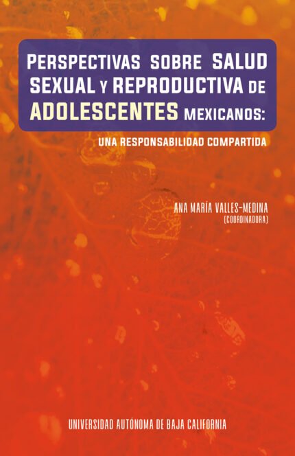 Perspectivas sobre salud sexual y reproductiva de adolescentes mexicanos: una responsabilidad compartida