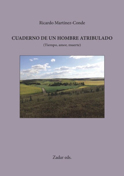 Cuaderno de un hombre atribulado
