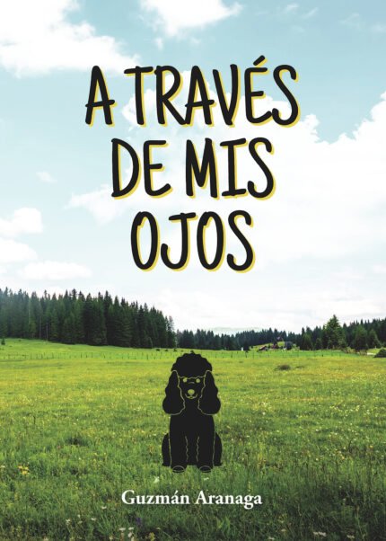 A través de mis ojos