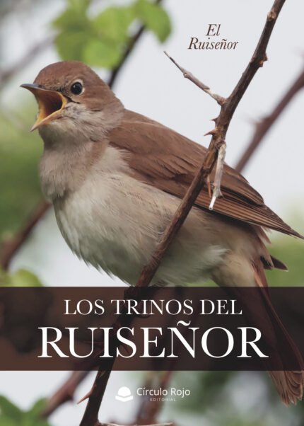Los trinos del ruiseñor