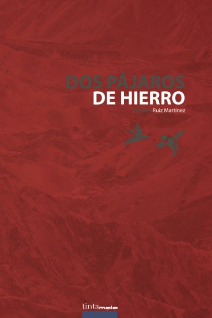 Dos pájaros de hierro