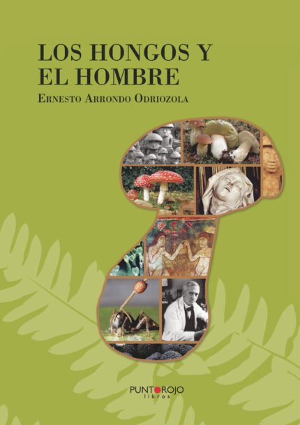 Los hongos y el hombre