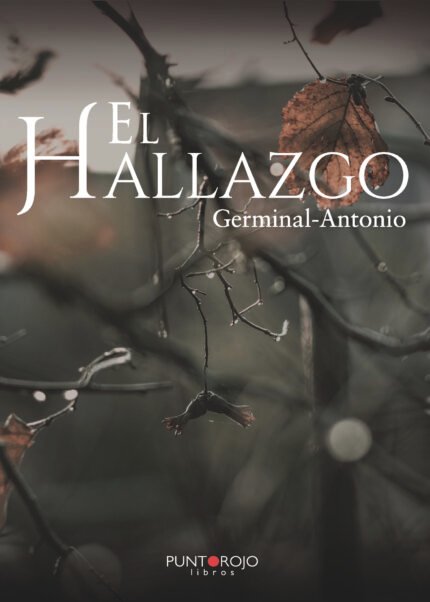 El hallazgo