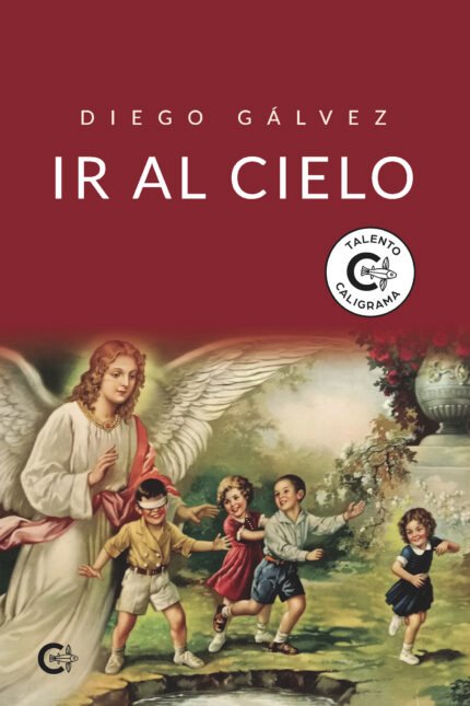 Ir al cielo