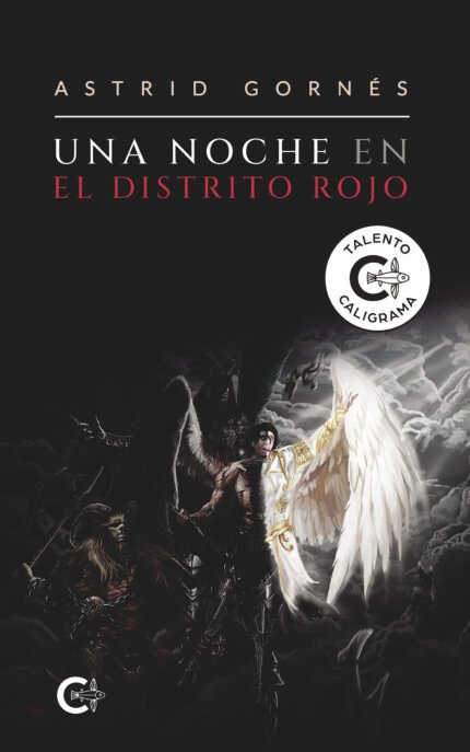 Una noche en el Distrito Rojo