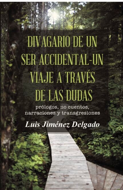 Divagario de un ser accidental-un viaje a través de las dudas