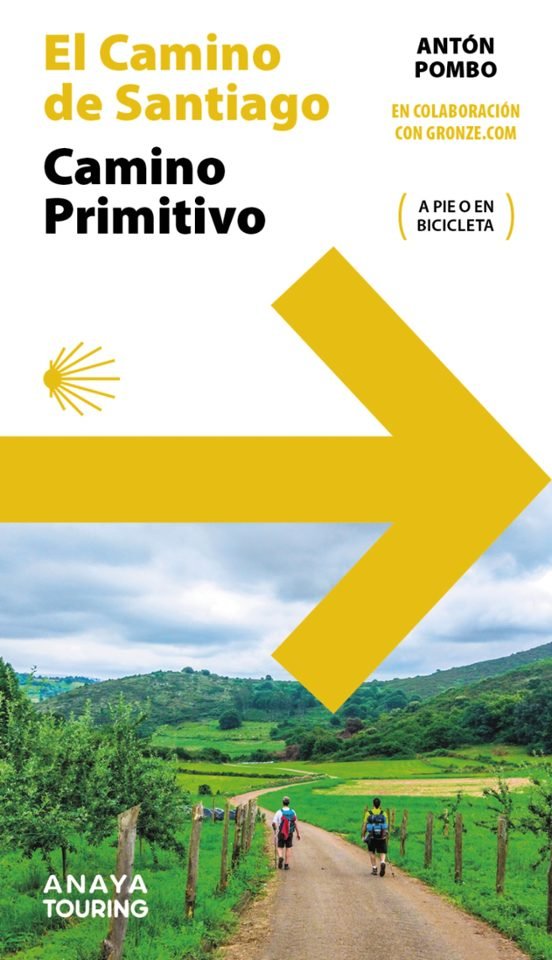El camino de Santiago El camino de Santiago - Imagen 1