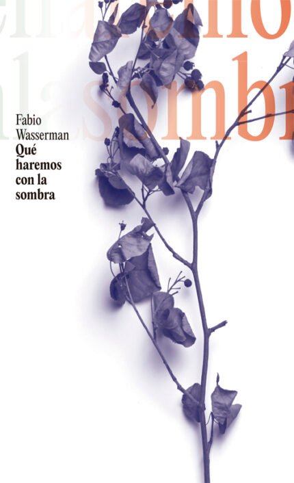 QUE HAREMOS CON LA SOMBRA