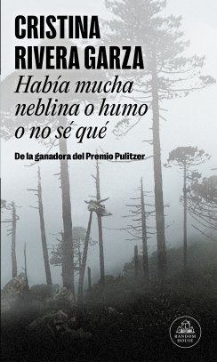 Había mucha niebla o humo o no sé qué — Cristina Rivera Garza