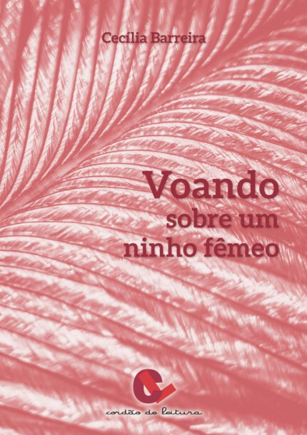 Voando Sobre um Ninho FUcirc;ªmeo