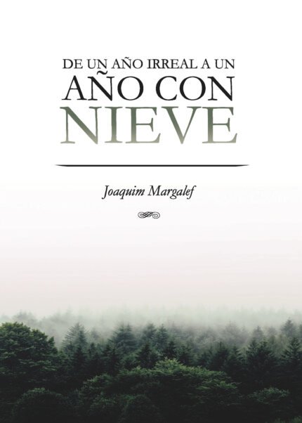 De un año irreal o un año con nieve