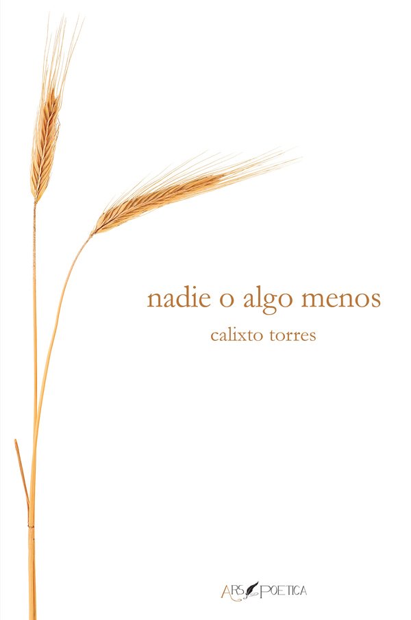 987250_IMAGEN_TAPA_G_002 nadie o algo menos - Imagen 1